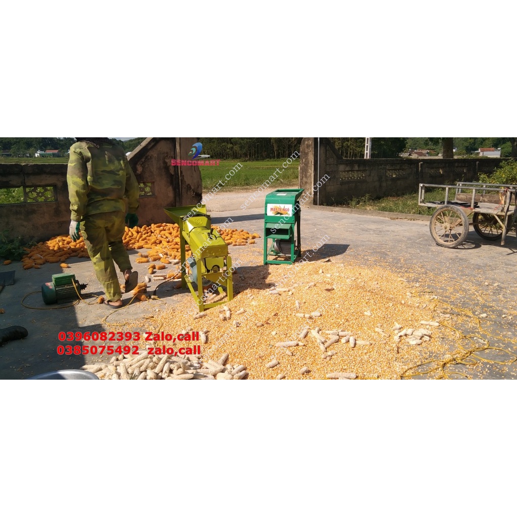 Máy tách hạt ngô trục đứng tách hạt siêu tốc,siêu sạch không gây vỡ hạt