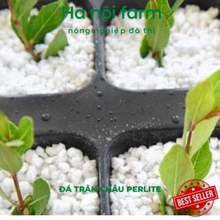 1kg đá trân châu perlite trồng cây