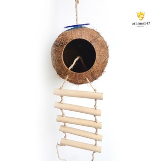 Tổ Chim Bằng Vỏ Dừa Độc Đáo