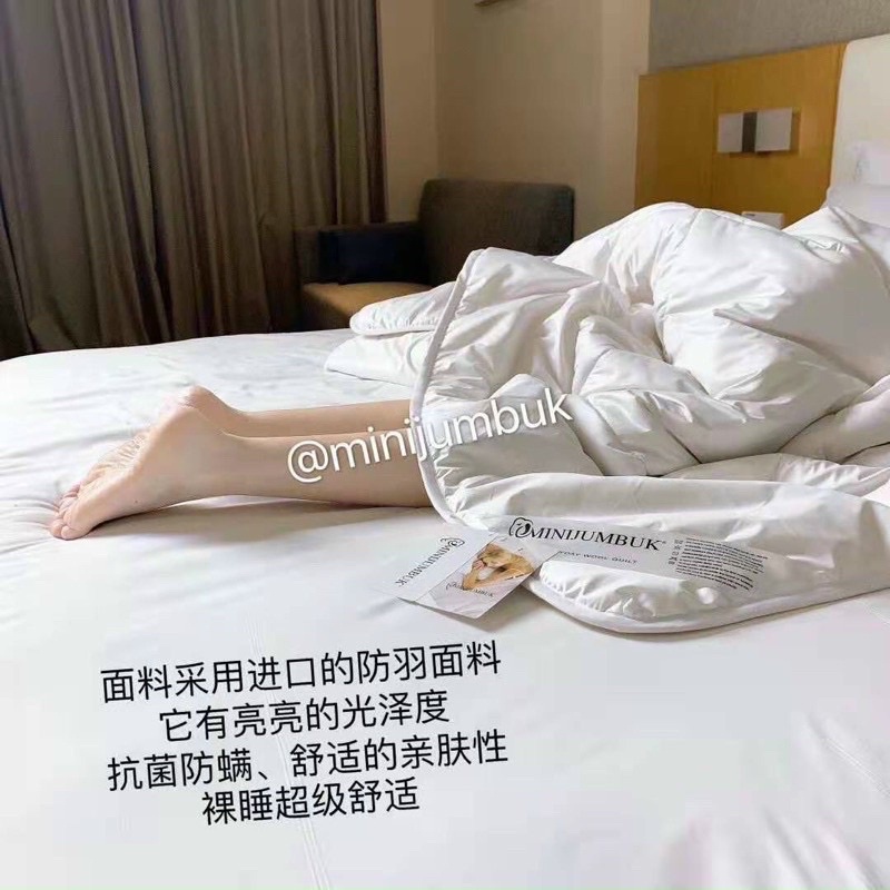 Freeship💕Ruột chăn xơ cừu Minijumbuk nhập khẩu loại 1🌿 2mx2m3