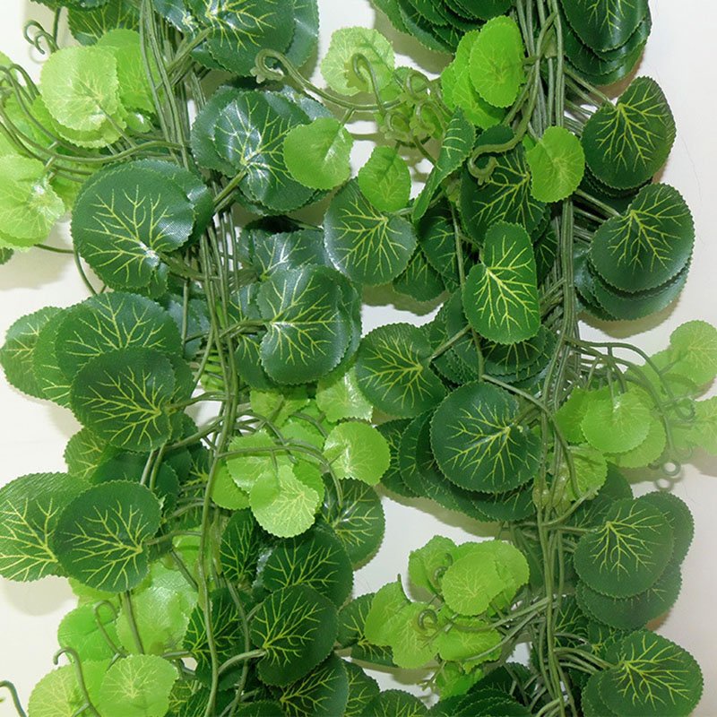 Dây lá trầu bà dài 2m trang trí nhà cửa, ban công, quán cafe