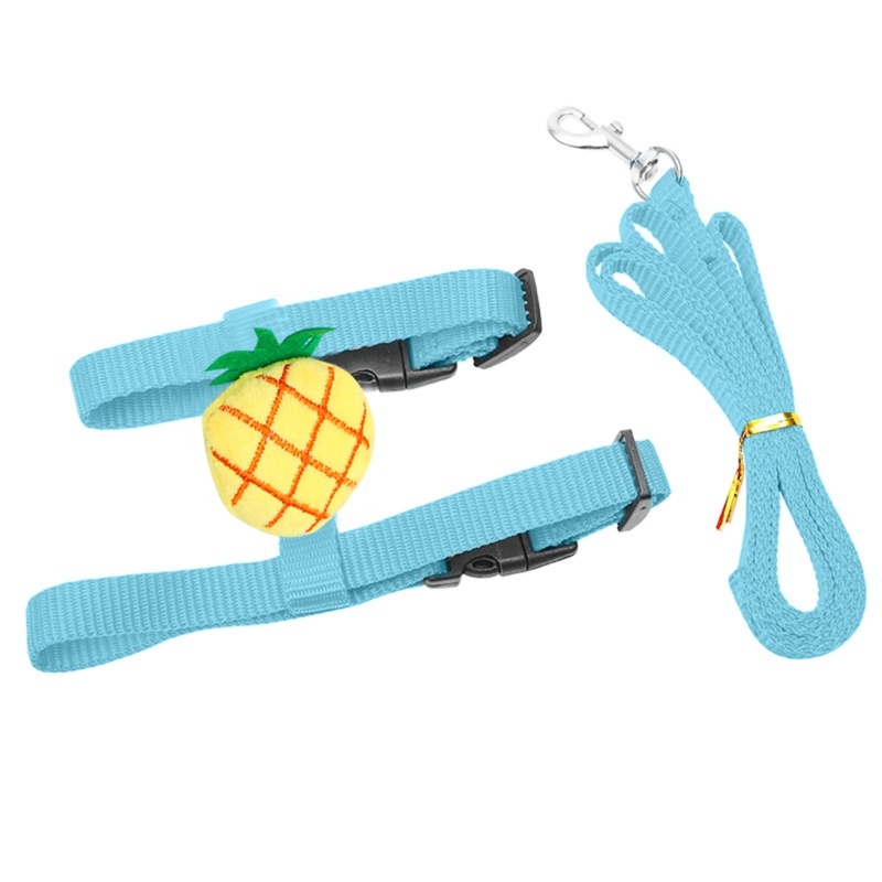 Dây Dắt Thỏ Đi Dạo Bằng Nylon Co Giãn Điều Chỉnh Được