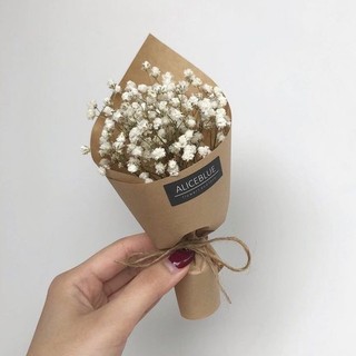 Bó hoa mini baby , boa hoa mini khô