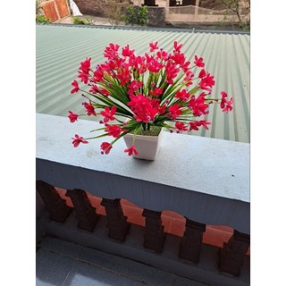 Cành điểm, cỏ thủy tiên, hoa thủy tiên, hoa giả