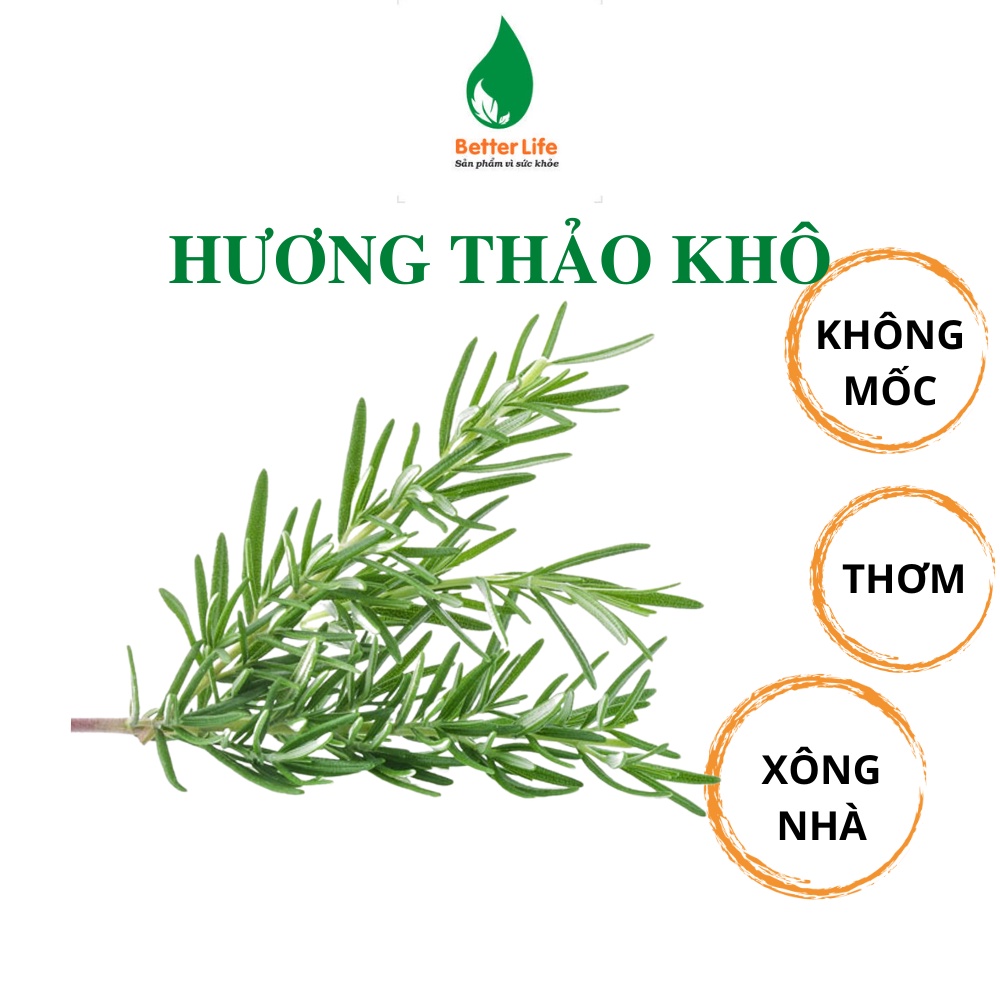 Cành lá Hương thảo Rosemary sấy khô 100g dùng xông thơm nhà, pha trà hoặc nấu ăn