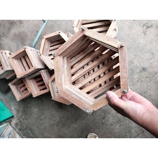 chậu gỗ lục giác trồng lan size 20cm