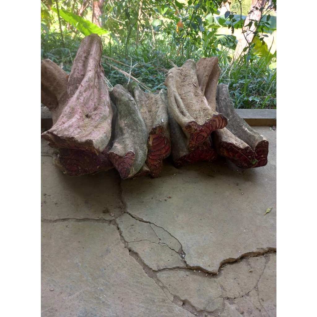 1kg Cỏ Máu Khô: Bổ máu, ăn ngon, ngủ ngon, kích thích tiêu hóa, Tăng cân tự nhiên.