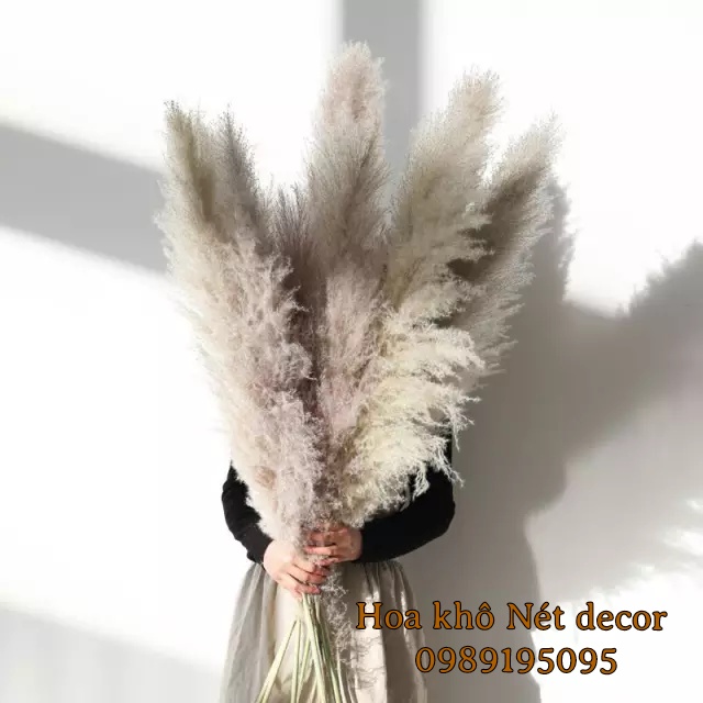 🌸 Cành Lau xù size lớn decor trang trí 🌸 Cành Lau xù cao dài hàng đẹp