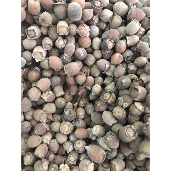 SIM KHÔ TÂY BẮC 1 KG