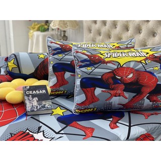 BỘ DRAP THUN Ý 5D CAO CẤP