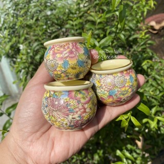 Cóng chào mào, cóng sứ decal cao cấp, tai tre tàu VIP - Dáng cóng bầu - Phụ kiện lồng chim