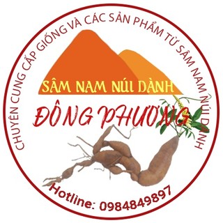 Củ sâm nam núi dành tươi