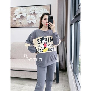 Bộ bầu nỉ hình Mickey