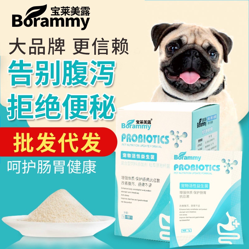 Men vi sinh cho mèo Borammy hỗ trợ tiêu hoá cho chó với Probiotic ngừa nôn mửa tiêu chảy BM15