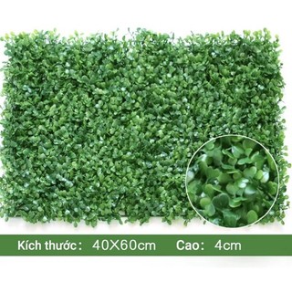 combo 5 tấm cỏ cải xoong