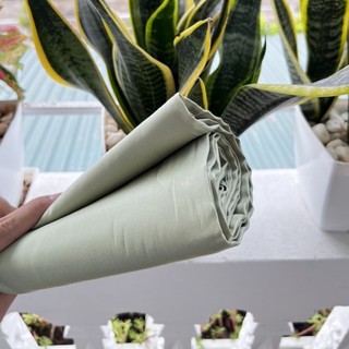 Vỏ gối nằm cotton lụa Lidaco đủ mọi size lựa chọn