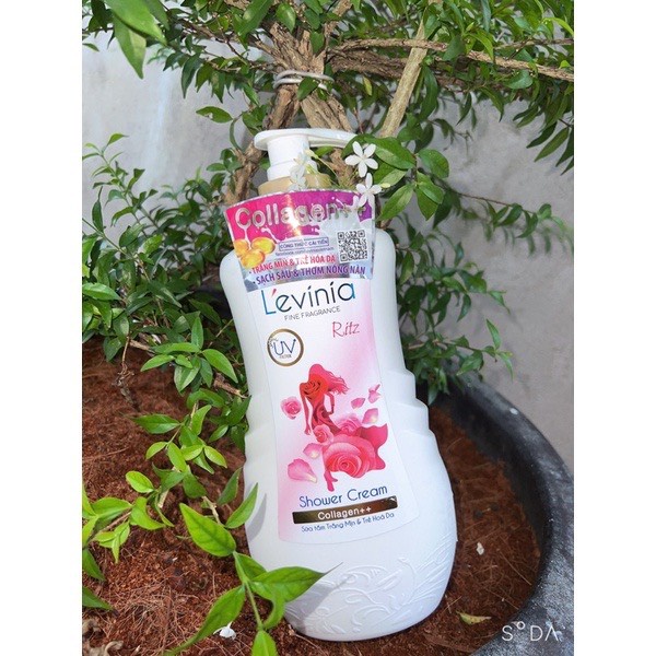 Sữa tắm Levinia 650ml