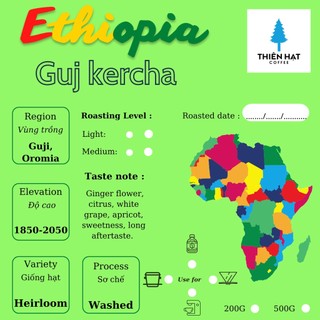 Cà phê hạt rang Ethiopia Guji Kercha nhập khẩu