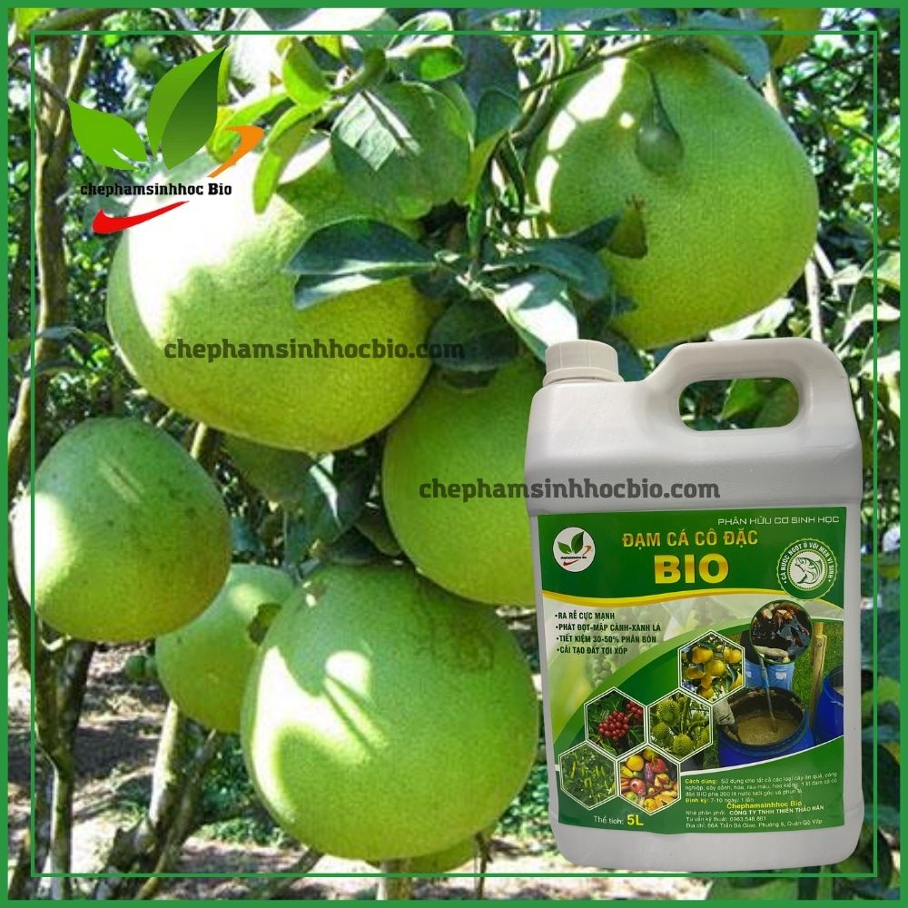 Phân đạm cá đậm đắc hữu cơ sinh học Bio. Can 5 Lít