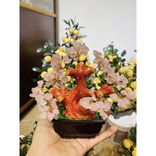 Cây đá thạch anh chiêu tài lộc
