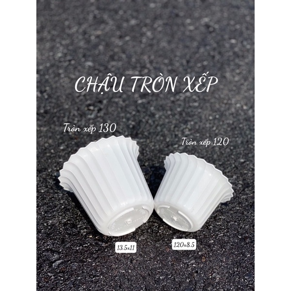 Chậu tròn xếp