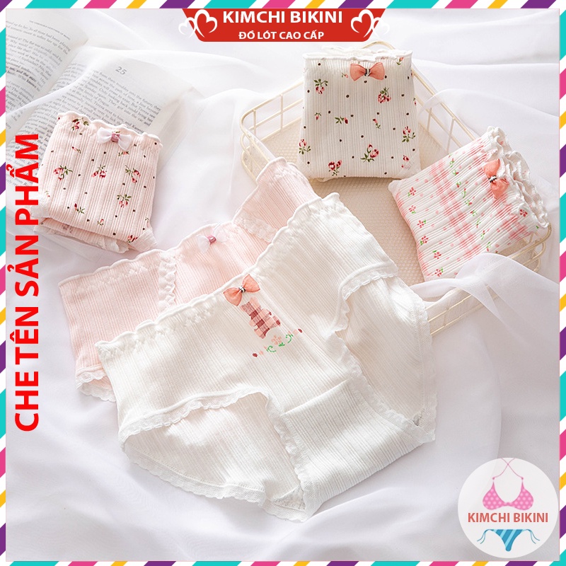 Quần lót nữ cotton cạp thấp viền ren mềm mại thoáng mát KIMCHIBIKINI chip cao cấp sexy kháng khuẩn thông hơi QL040