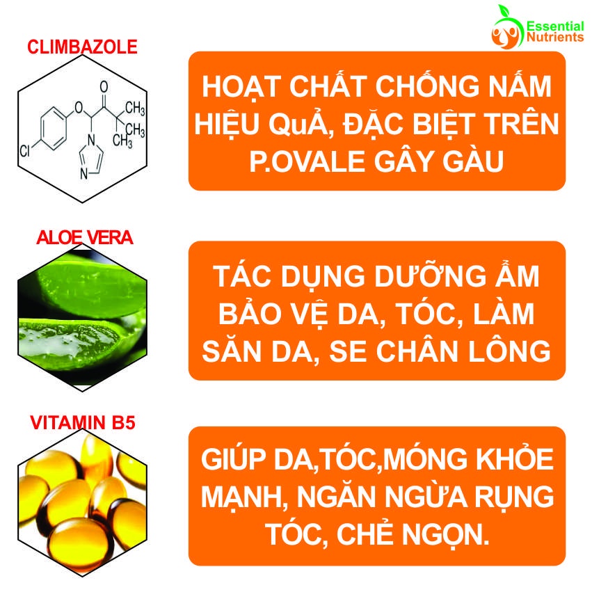 NAZOR dầu tắm gội 2 trong 1, sạch gàu, hết ngứa, phục hồi tóc khô, sơ chẻ ngọn - Lotuspharma