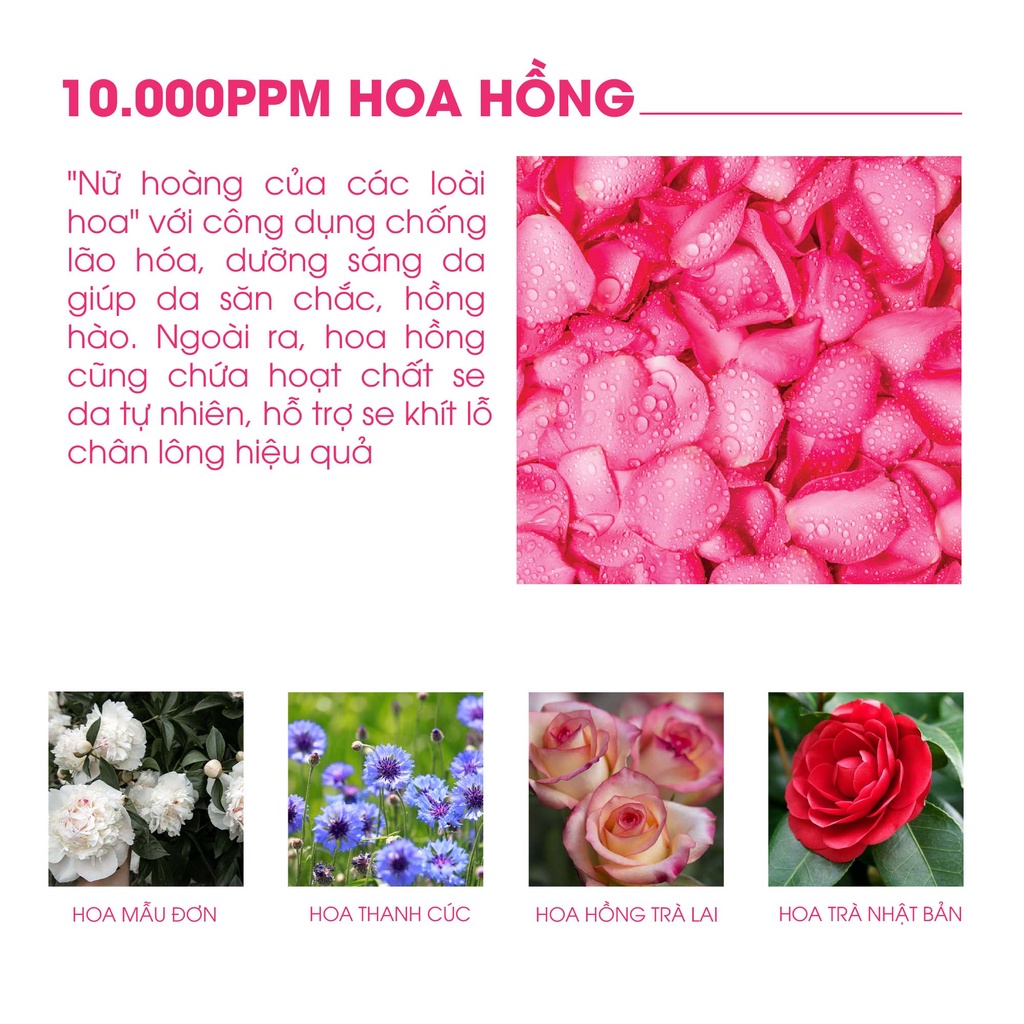 Gel Dưỡng Hoa Hồng Sáng Da, Thu Nhỏ Lỗ Chân Lông Foodaholic ROSE Water Soothing Gel 300ml