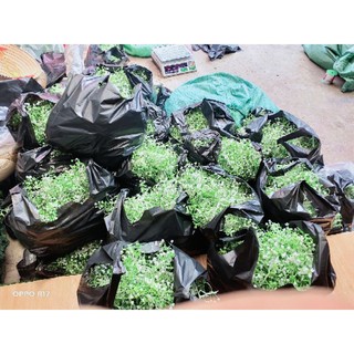 điểm cỏ bi 160k 1kg