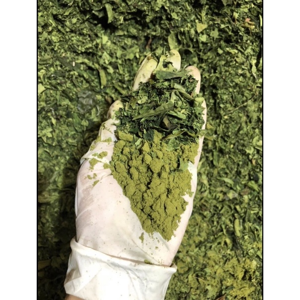 1KG BỘT TRÀ XANH NGUYÊN CHẤT 100%