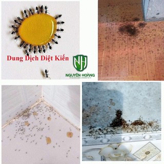 Siêu diệt kiến, gián tận gốc (Hiệu quả cao)