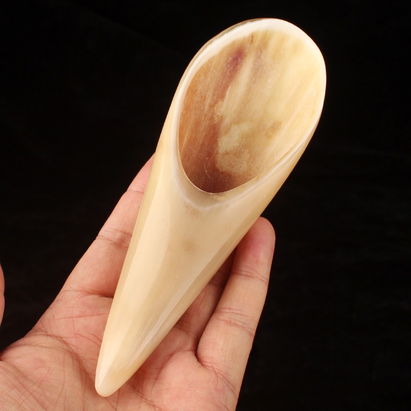 Ống ngọn sừng cạo gió dụng cụ điện chẩn kích thước 16cm - 30cm dụng cụ massage toàn thân