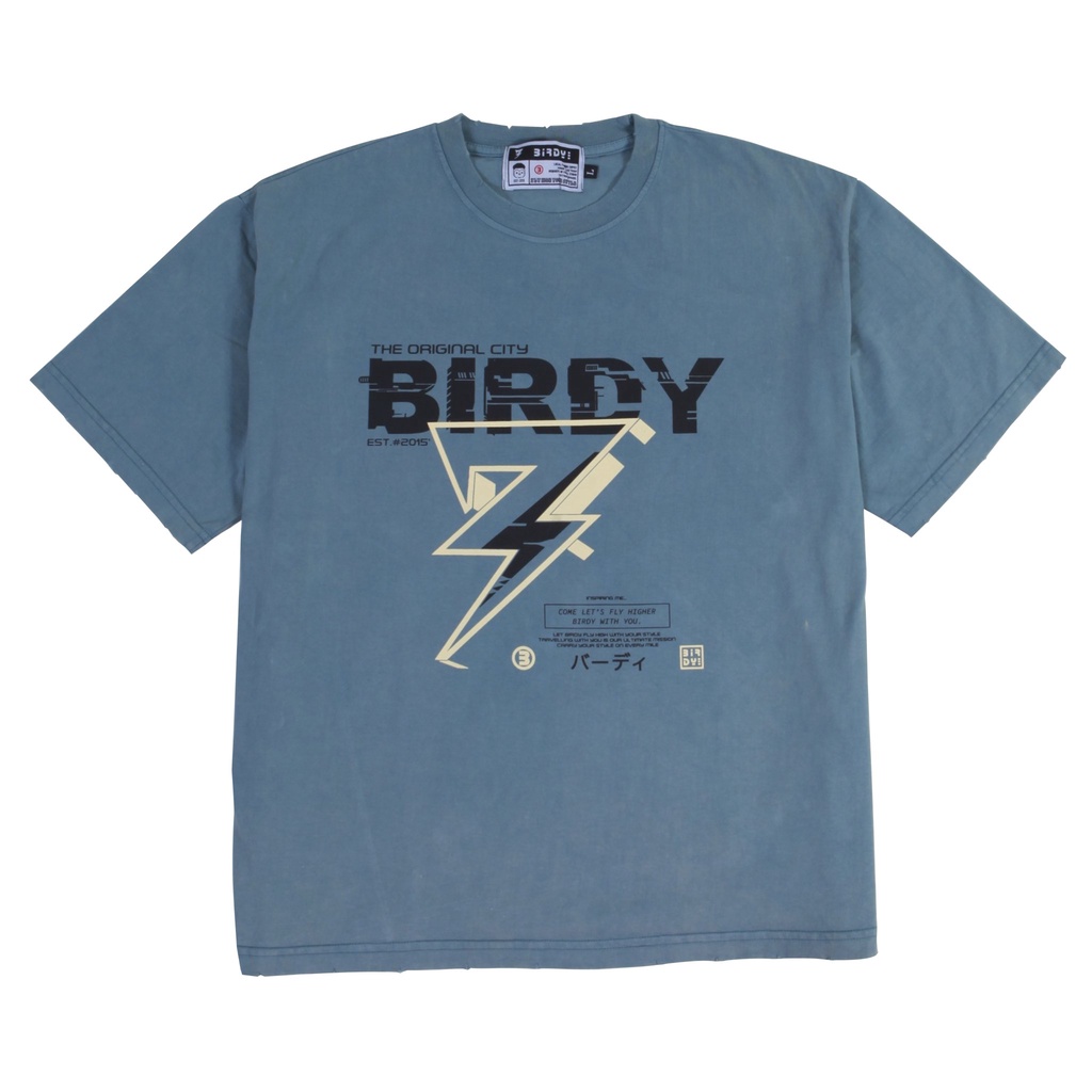 Áo thun thời trang nam nữ unisex Birdybag thunder basic tee phông trơn tay lỡ oversize