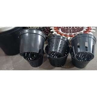 ☘️ chậu nhựa đen trồng lan - chậu lỗ bít 14cm