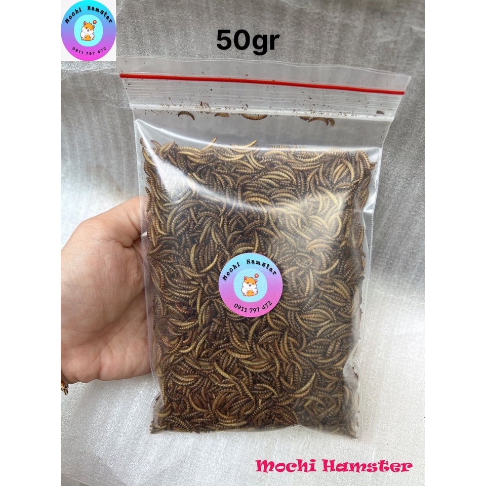 Sâu gạo, sâu mini cho hamster