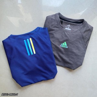 Áo Thun Thể Thao adidas - áo thun thể thao nam VNXK