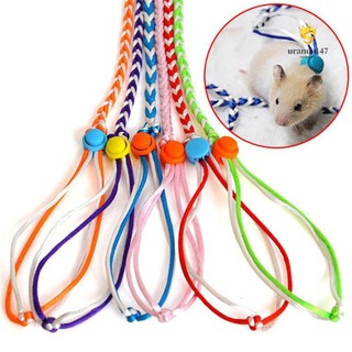 Dây Dắt Chuột Hamster Đi Dạo 1.4 / 2m