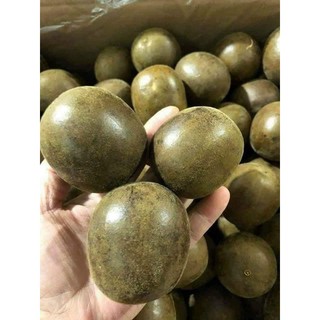Quả la hán hàng loại 1 quả to đẹp