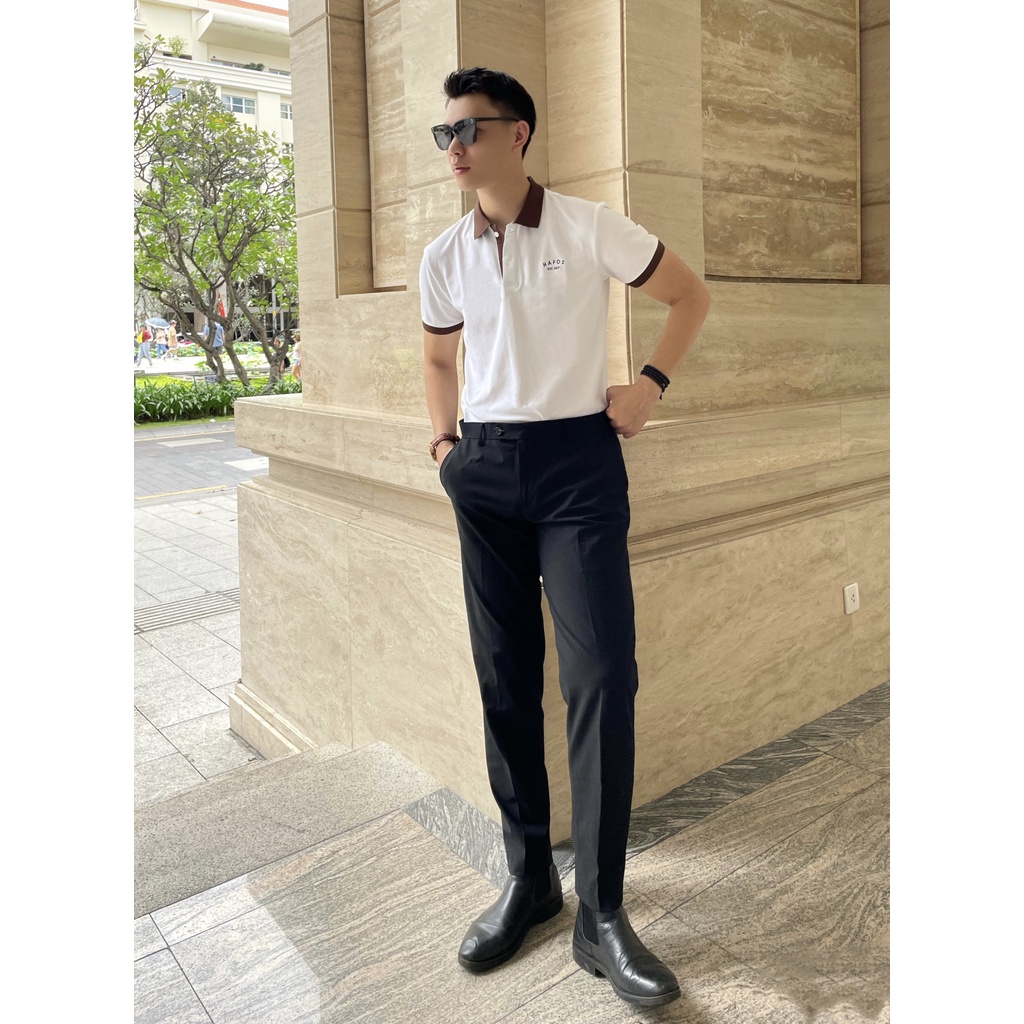 Áo Thun Polo Nam cổ bẻ BROWNY vải Cá Sấu Cotton cao cấp chuẩn form – HAFOS