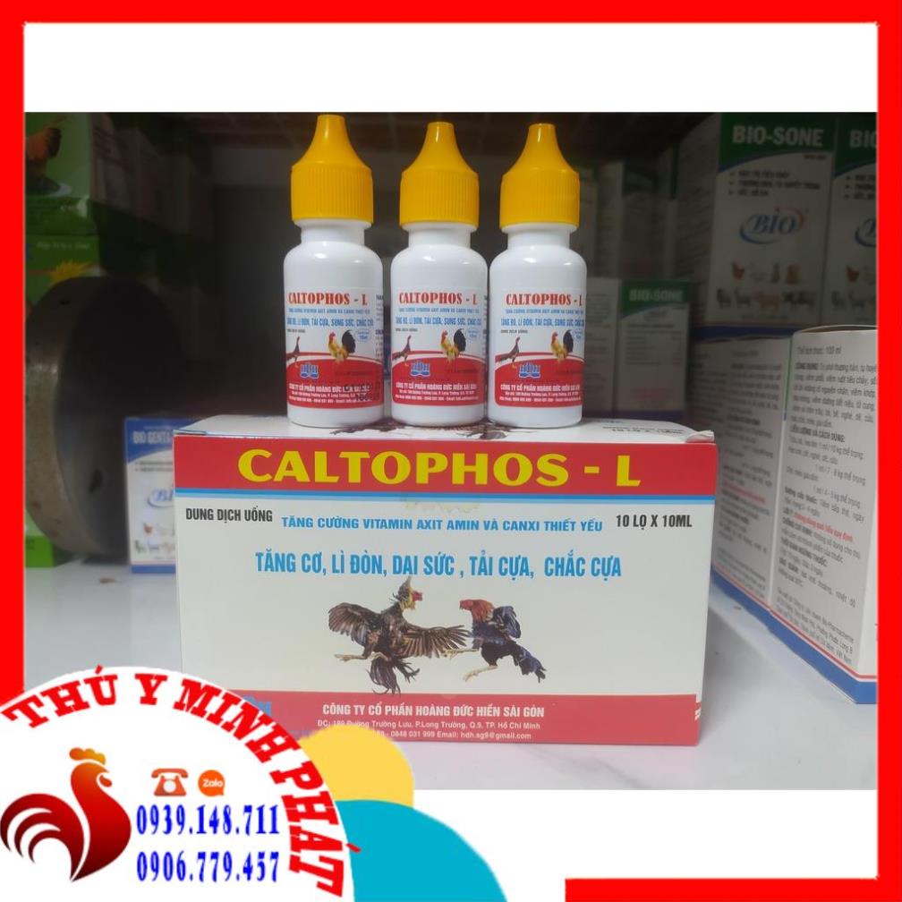 Caltophos - L (10ml) TĂNG CƠ, DAI SỨC, TẢI CỰA, CHẮC CỰA