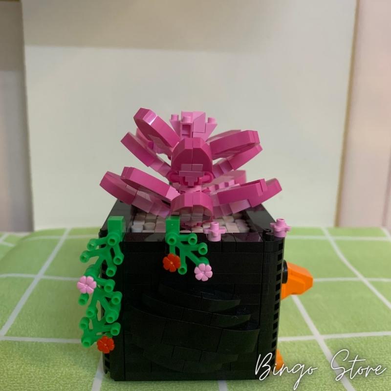 MÔ HÌNH LẮP RÁP CHẬU CÂY PENGUIN 562 CHI TIẾT