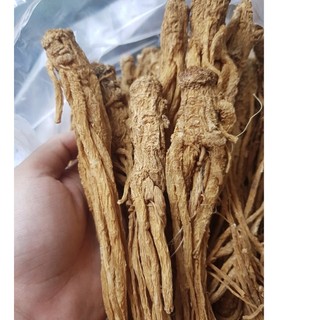 100Gr Sâm đương quy khô