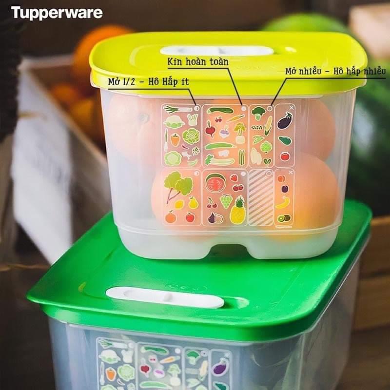 Bộ hộp trữ mát có nút hô hấp Tupperware Ventsmart 6 (nhãn APAC) - Bảo hành trọn đời - Nhựa nguyên sinh PP số 5