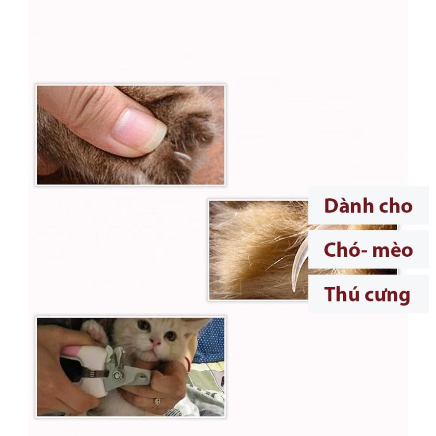 Orgo- Bộ kìm chó mèo Kéo cắt móng cho chó mèo (2 size) kìm cắt móng và dũa móng cho thú cưng