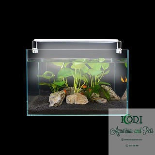 Đèn Bể Cá LED Máng Nhựa Ánh Sáng Trắng Và Đổi Màu RWB 20-60cm