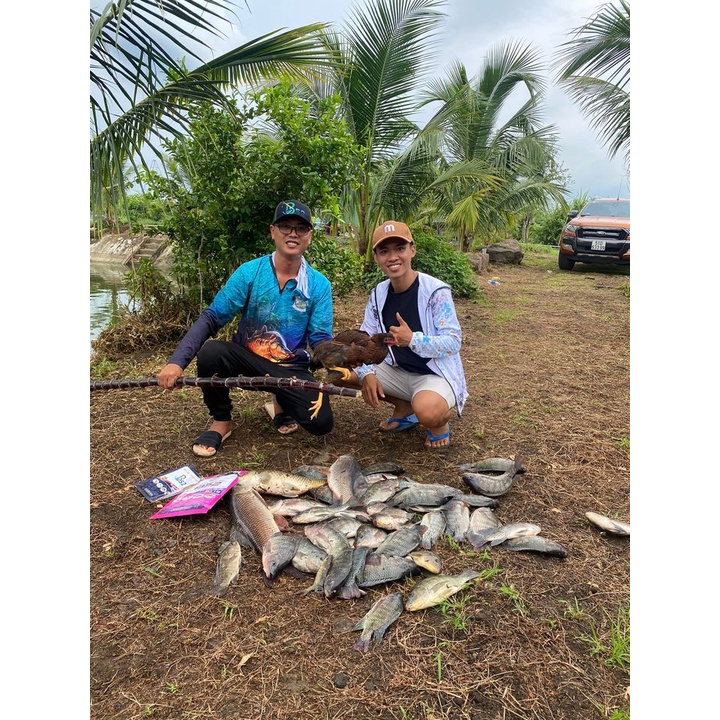 Combo câu rô phi B52