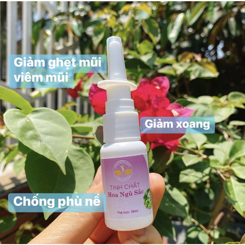Tinh chất hoa ngũ sắc (Cây cứt lợn, cỏ hôi) Phòng khám chuyên khoa YHCT Thanh Tùng