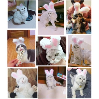 Mũ tai thỏ cho thú cưng siêu cute