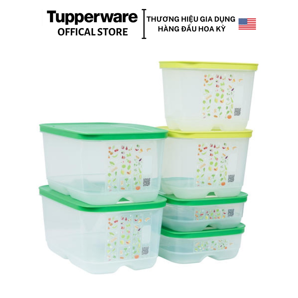Bộ hộp trữ mát có nút hô hấp Tupperware Ventsmart 6 (nhãn APAC) - Bảo hành trọn đời - Nhựa nguyên sinh PP số 5