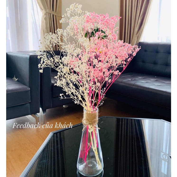 Hoa Baby khô nhiều màu không tàn dùng trang trí nhà bó nhỏ